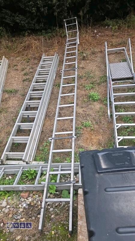 Roofing cat ladder