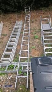 Roofing cat ladder