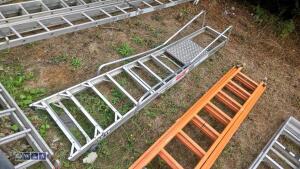 Platform stepladder - 2