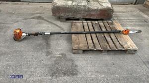 STIHL petrol pole pruner