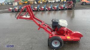 2019 CAMON SG30 HONDA petrol stump grinder s/n10465 - 5