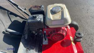 2019 CAMON LS42 petrol scarifier c/w collection bag s/n64662 - 9