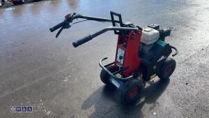 2019 CAMON TC07 Honda petrol turf cutter s/n36464 - 4