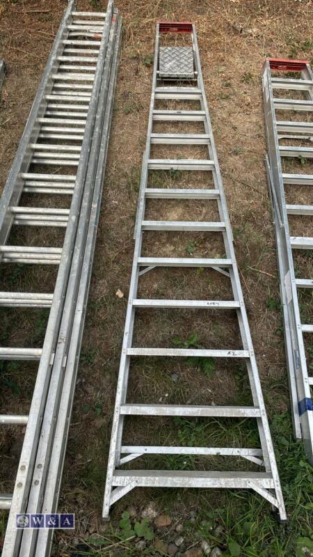 Aluminium stepladder (large)