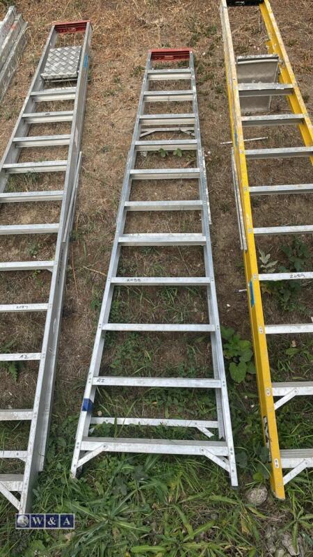 Aluminium stepladder (large)