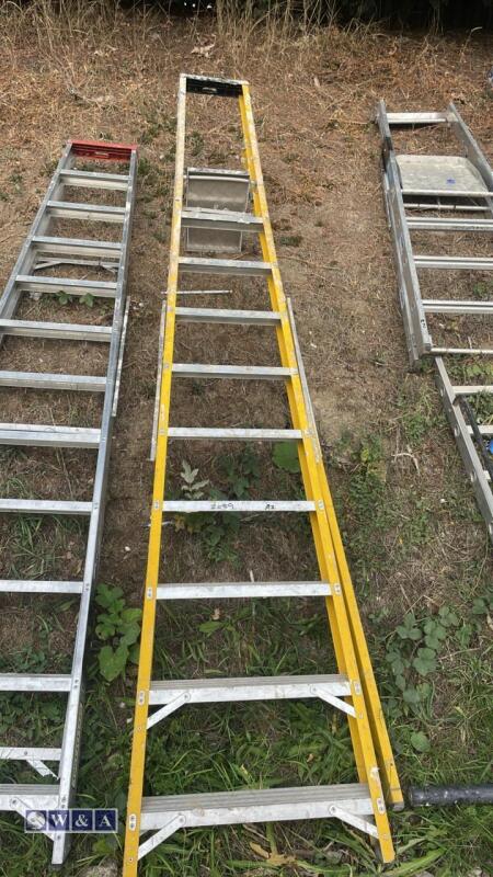 Electricians stepladder (large)