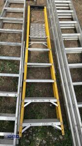 Electricians stepladder - 2