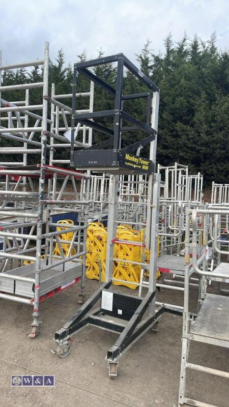 Monkey tower access platform