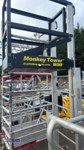 Monkey tower access platform - 5