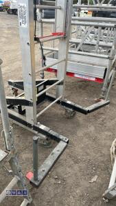 Monkey tower access platform - 6