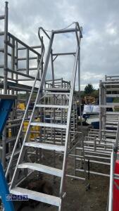 Aluminium stepladder (large) - 2