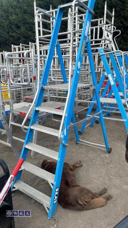 LYTE platform stepladder