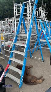 LYTE platform stepladder