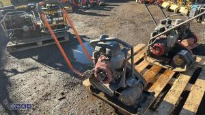 BELLE petrol compaction plate (3451131)