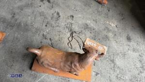 Rusty bull c/w plinth (Cast iron) - 4
