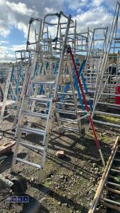 ALTREX platform steps - 3