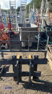 Pallet forks & back plate - 3