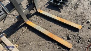 Pallet forks & back plate - 5
