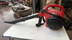 Petrol blower