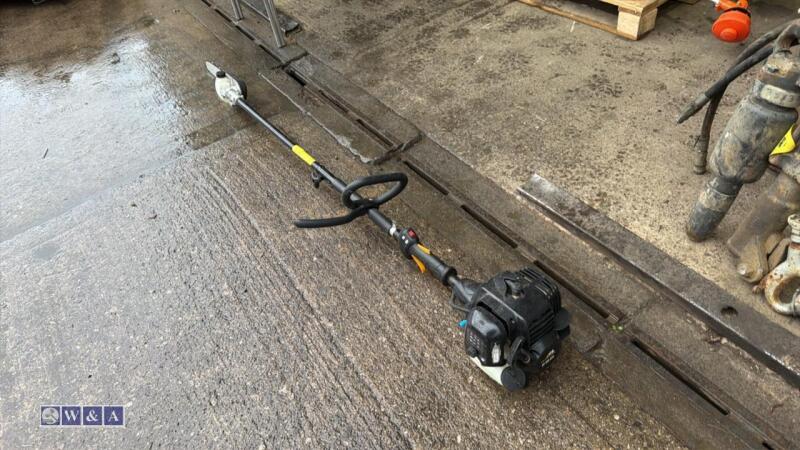 MCCULLOCH petrol pole pruner