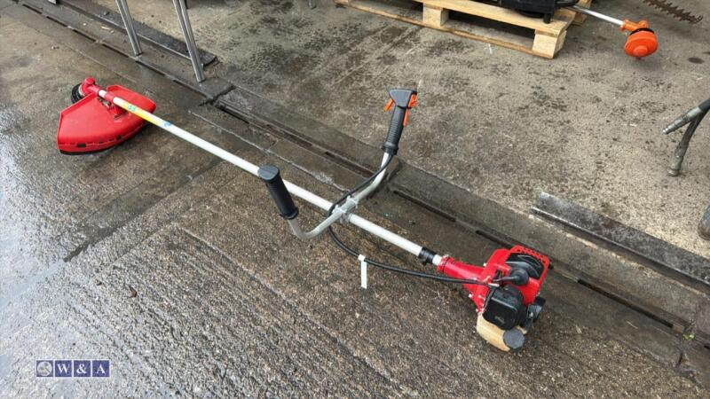 Petrol strimmer
