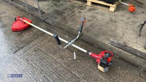Petrol strimmer