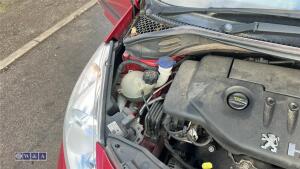 Peugeot 207 - 20