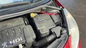 Peugeot 207 - 21
