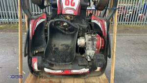 2 Biz go karts - 12