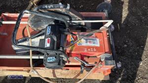 EGO-80 table stone saw (3393298) - 2