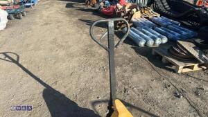 Euro pallet truck (yellow) - 6