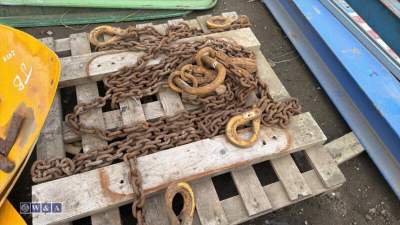 Lifting chains c/w shorteners