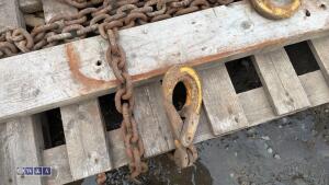 Lifting chains c/w shorteners - 2