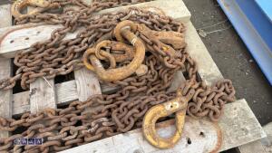 Lifting chains c/w shorteners - 3