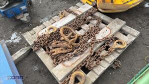 Lifting chains c/w shorteners - 5