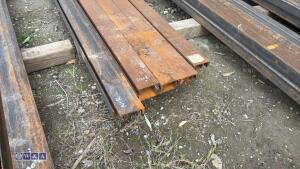 10 x ANGALINE (approx 23ft long x 4'') - 3