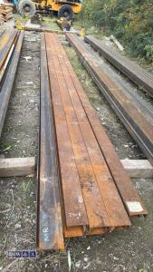 10 x ANGALINE (approx 23ft long x 4'') - 4