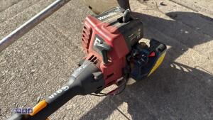 2 x petrol strimmers - 2