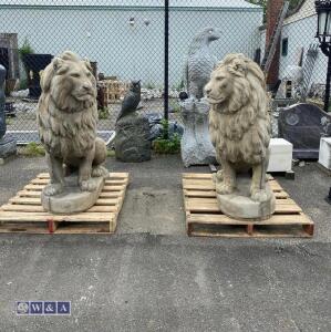 Pair of lions (approx 1.5m)