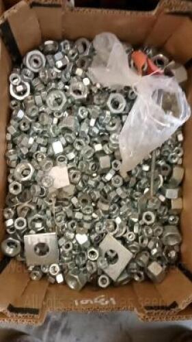 Tray of nuts & bolts