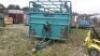 ROLLAND livestock handling trailer (510619) (CAT B) - 7