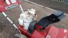 SNAPPER petrol snow blower - 11