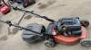 MOUNTFIELD S461PDES petrol rotary mower c/w collection box - 12