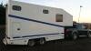 EQUI TEK show trailer horse box (pick-up not included) - 2