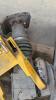 WACKER NEUSON trench rammer parts - 3