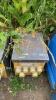 BIRCHWOOD 10kva 110v site transformer - 4