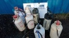 9 x dust suppression bottles - 2