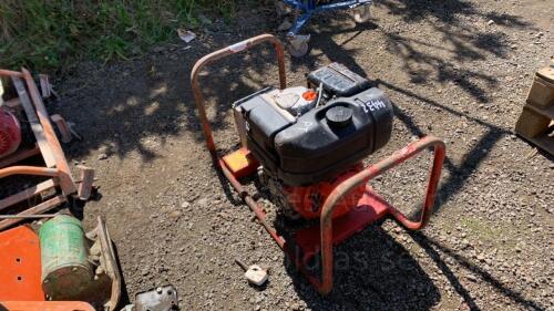 LOMBARDINI 110v generator