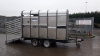 IFOR WILLIAMS DP120 10' livestock trailer c/w partition (s/n Y0290963) - 2