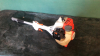 STIHL KM55R petrol multi tool